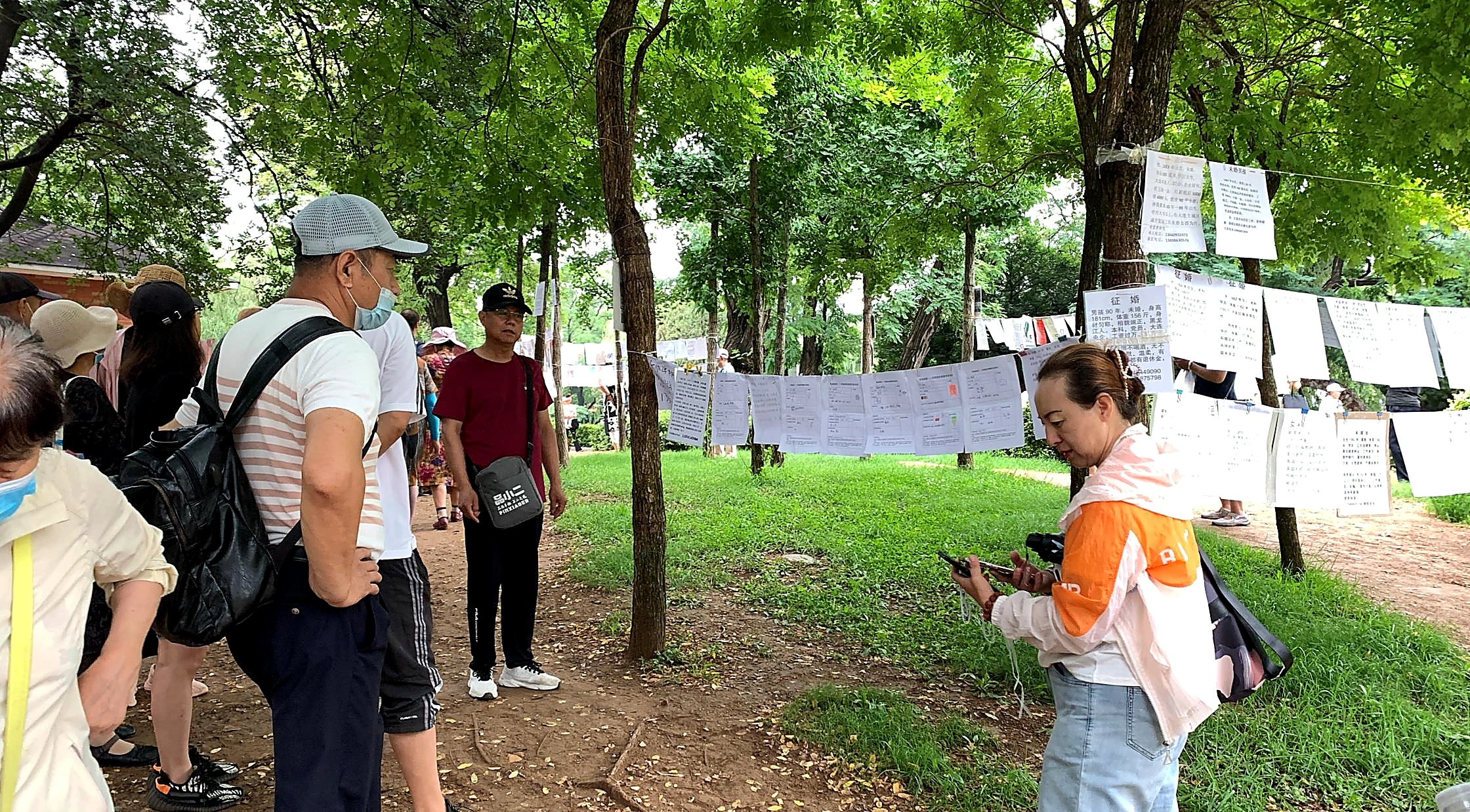 公园树木之间悬挂的性别相亲信息纸张