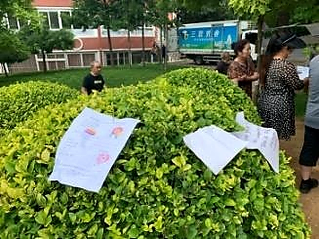 公园树枝上悬挂的性别身份信息表
